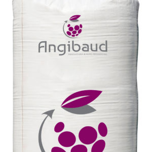 angibaud-big-bag-2020